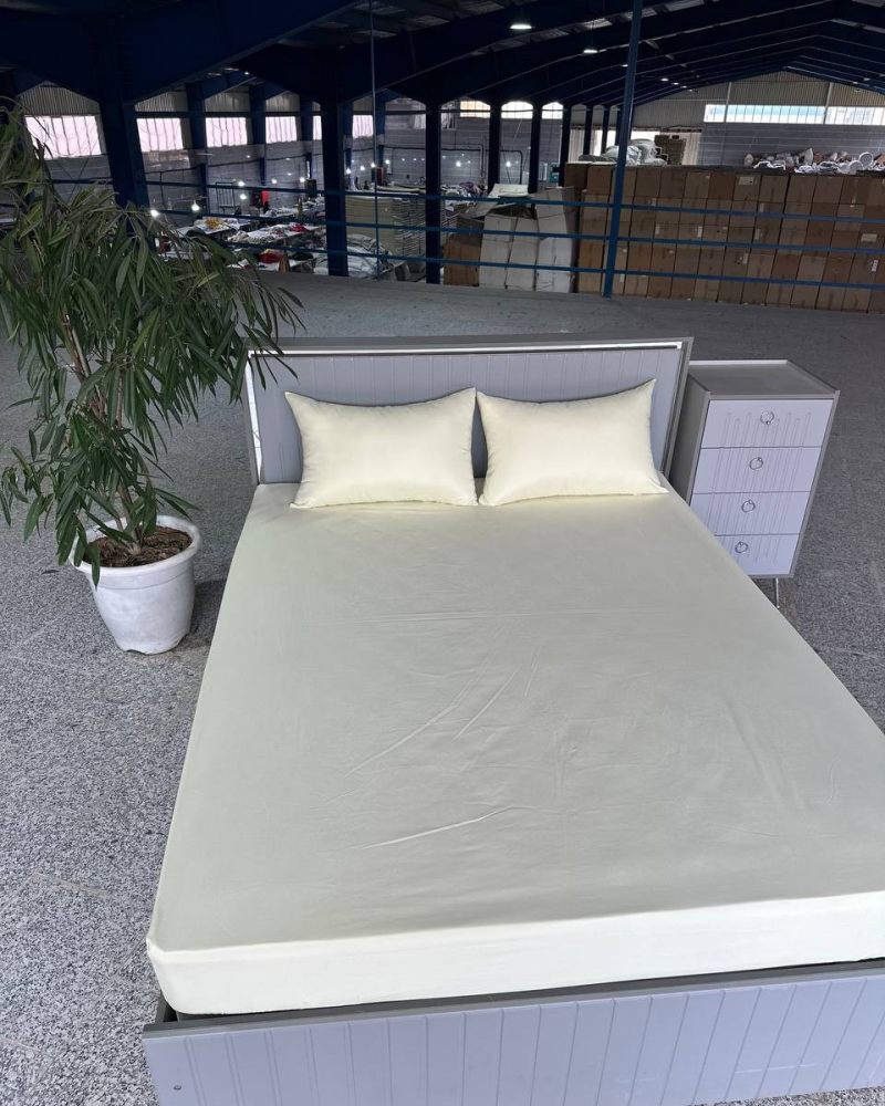 IMG_20250814_101333_327 (1)