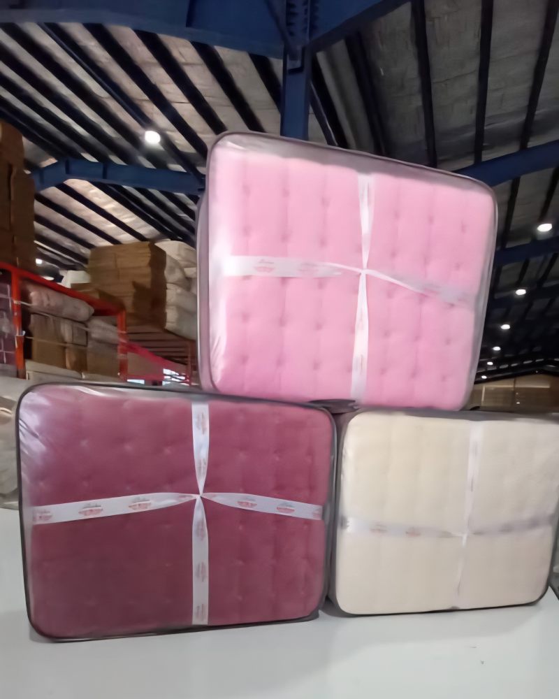 IMG_20251013_133842_528 (1)