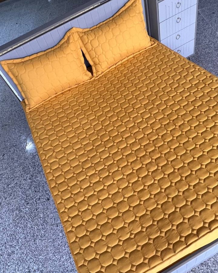 IMG_20251026_153110_430 (1)